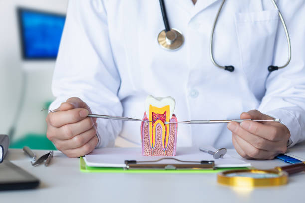 Best Emergency Broken Tooth Repair in Yeagertown, PA